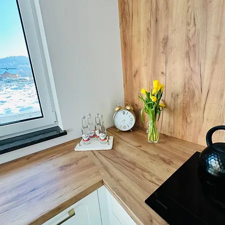 Krynica-zdrój - Powroźnik - Dom Na Wzgórzu - House On The Hill